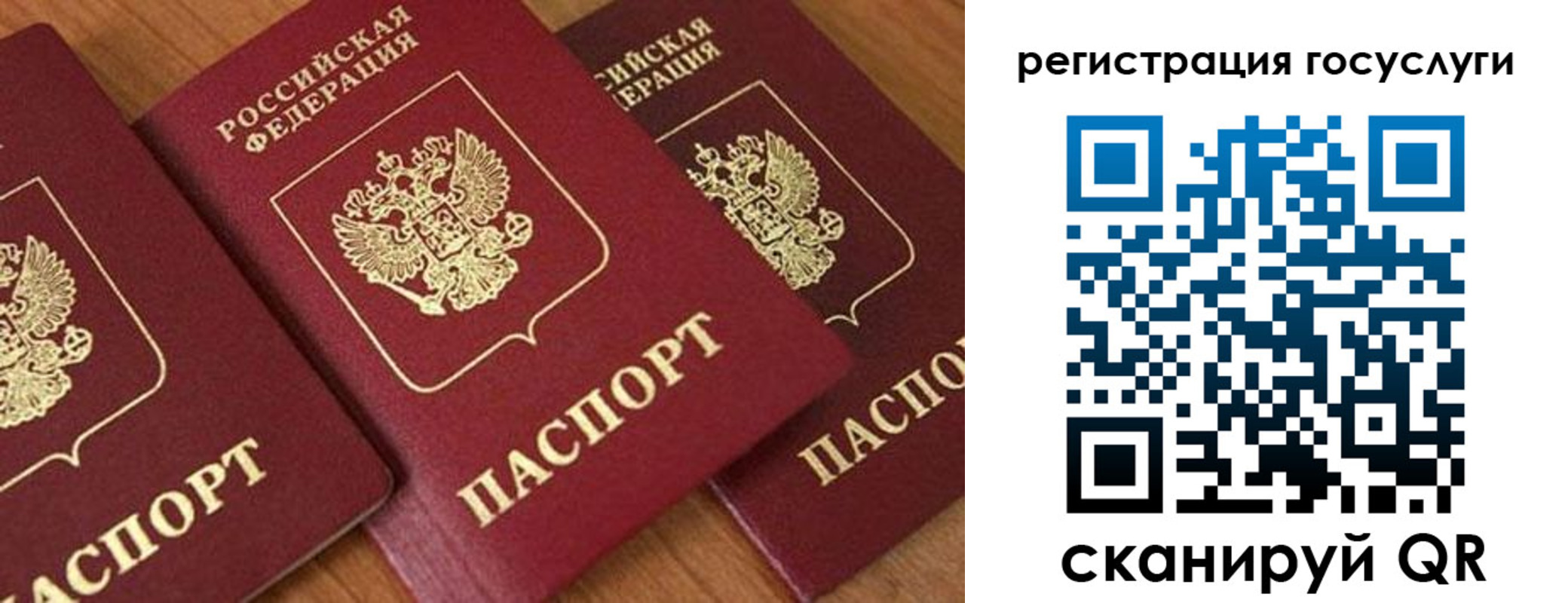 временная регистрация гарантия в Пущино